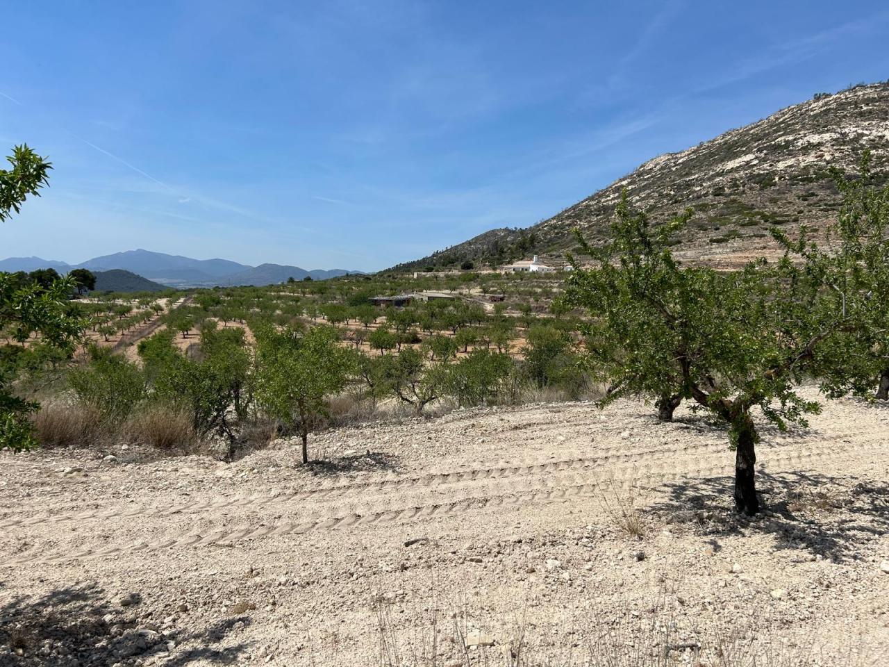  Tierra Collado Catalán